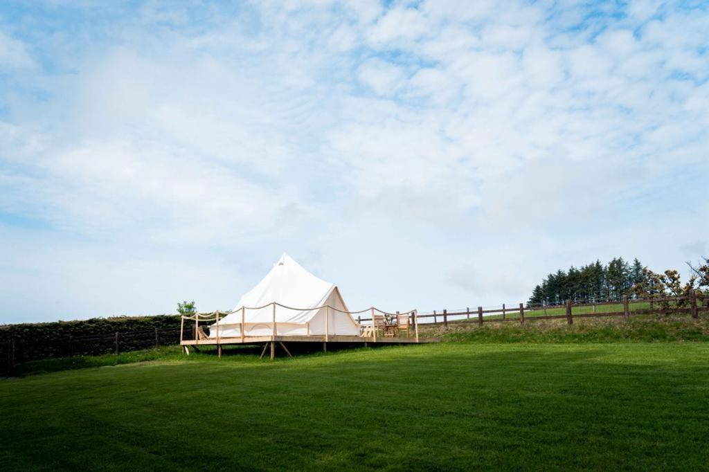 a white tent in a field with a fence at Hafod Hir in Cross Inn