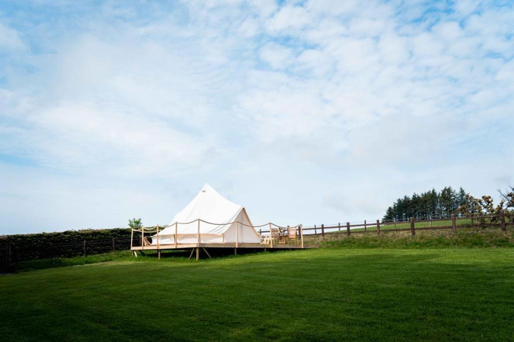 Hafod Hir - Housity