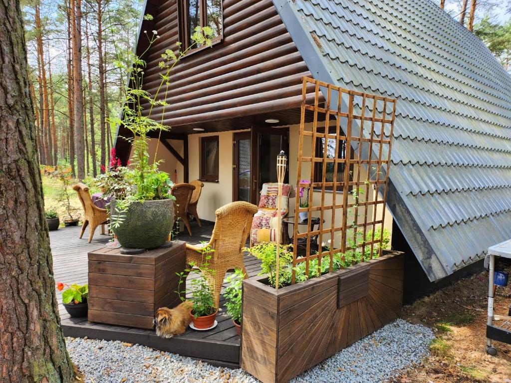 ein Haus mit einer Terrasse mit einer Katze, die davor sitzt in der Unterkunft Jak Tu Sielsko in Osiek