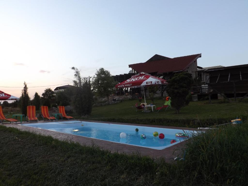 a swimming pool in the middle of a yard at Pensiunea Maria Sibiu in Sibiu