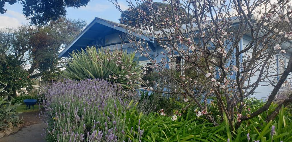 un giardino con fiori viola di fronte a un edificio di Pohutukawa Villa 