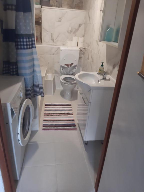 Koupelna v ubytování Apartment Ema