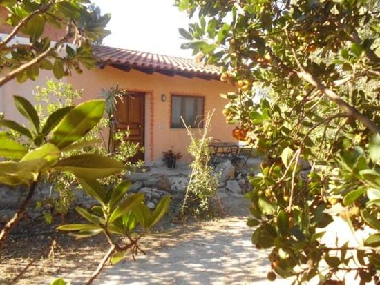 a house is seen through the leaves of trees at Sa Stella E Monti in Marrùbiu