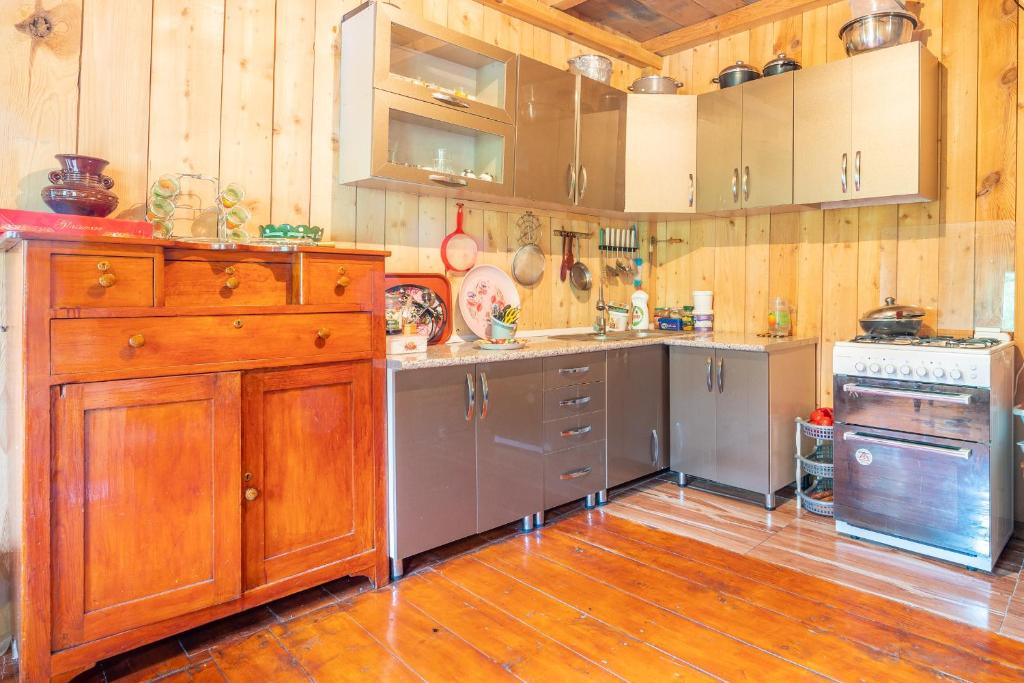 Kuchyň nebo kuchyňský kout v ubytování GuestHouse NaSHGOBI