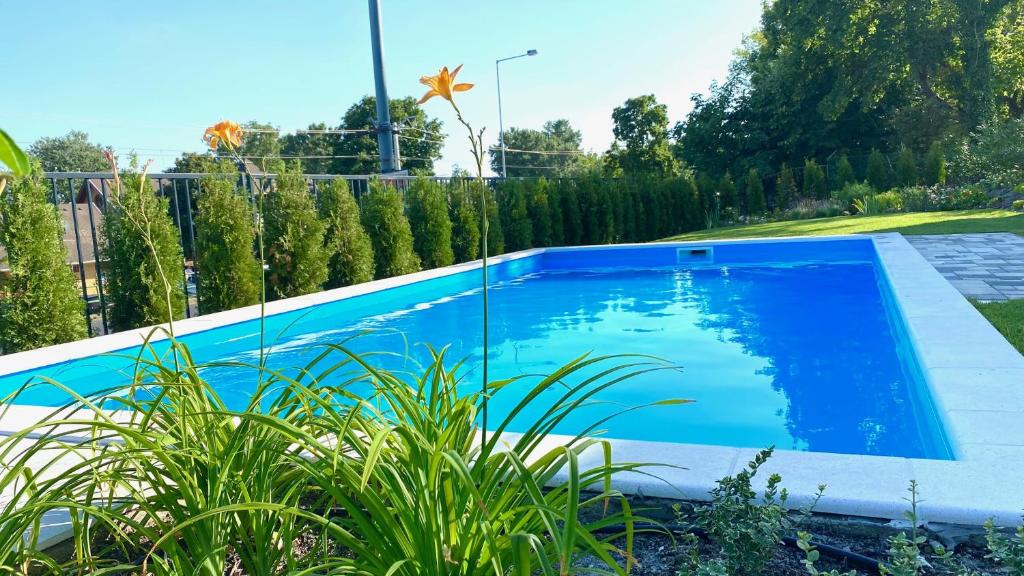 a blue swimming pool in a yard with plants at Eastlake Apartman in Alsóörs