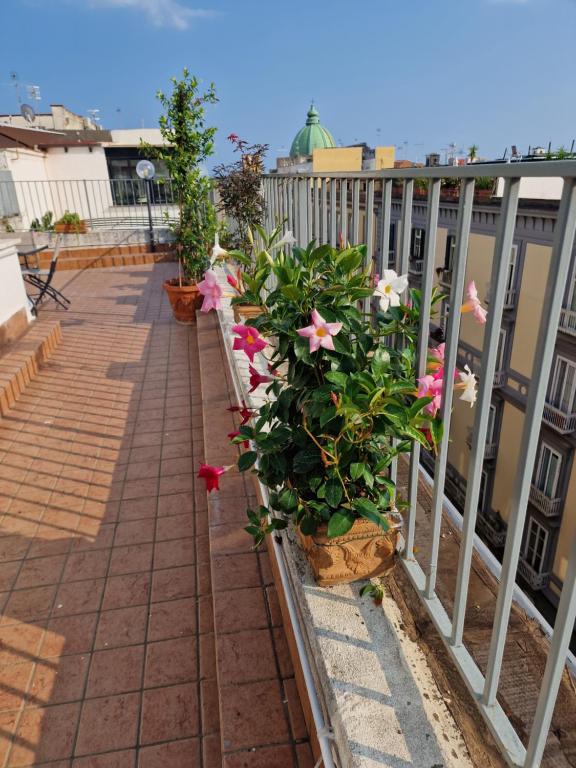 La terrazza delle fate陽台或露臺