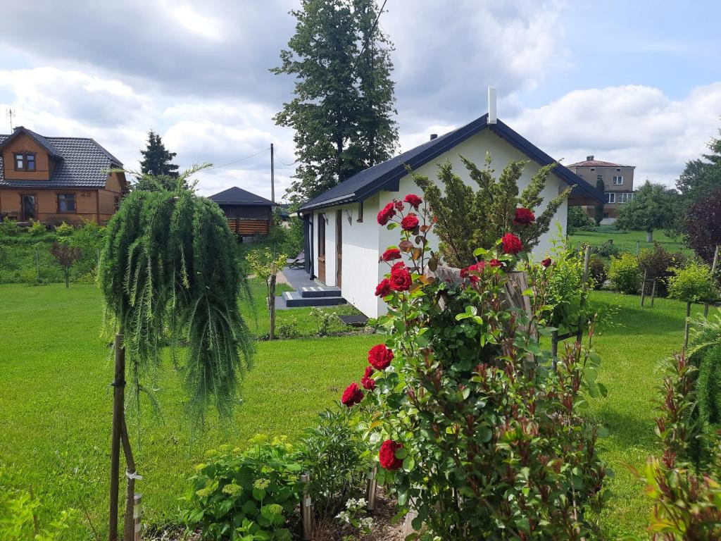 a white house with red roses in a yard at apartament Wigry -domek z altaną na wyłączność in Leszczewek