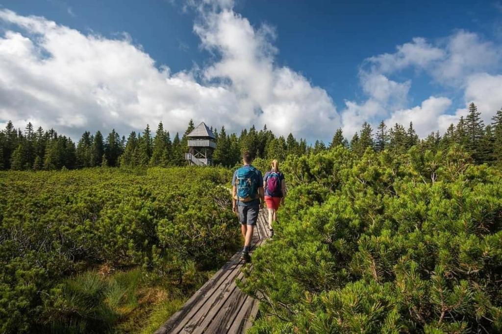 Příroda nedaleko apartmánu