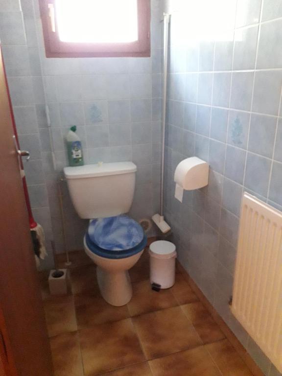 a small bathroom with a toilet with a blue seat at gite à la campagne in Plombières-les-Bains