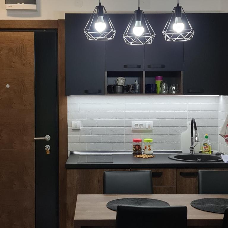 A kitchen or kitchenette at Apartmani Gavric Borovi 2