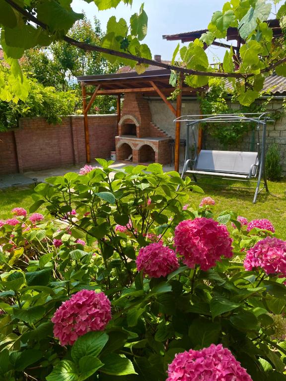 a garden with pink flowers and a chair in the background at Holiday Home ESKU in Orşova