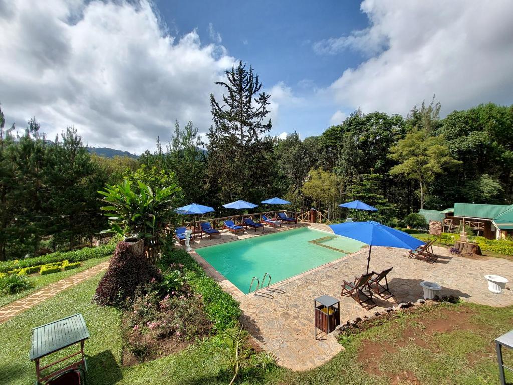 a swimming pool with chairs and umbrellas in a yard at Lawns Hotel in Lushoto