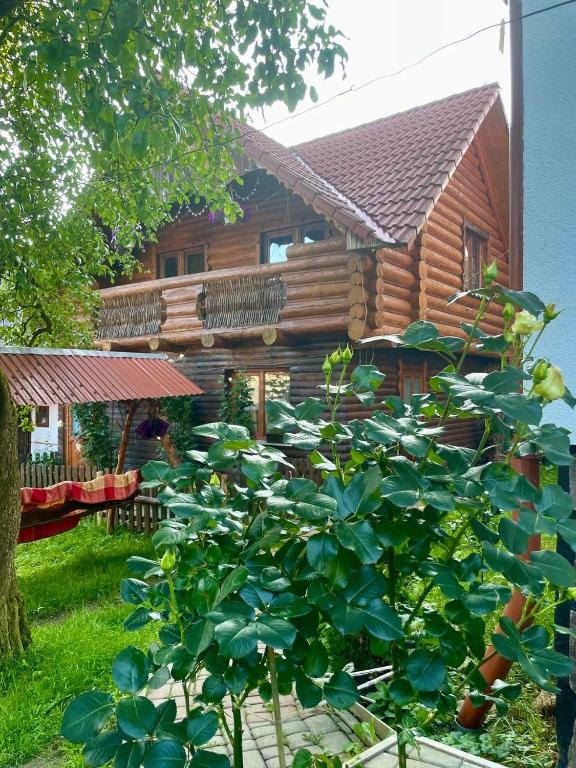 Zahrada ubytování Kotedzh Smereka