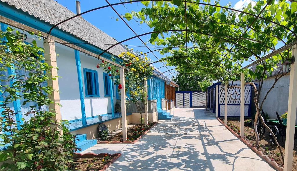 Casa Ivan - Housity