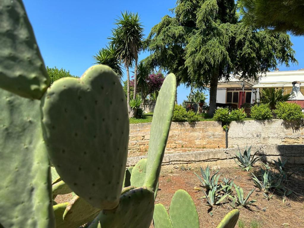 Zahrada ubytování Masseria Patese