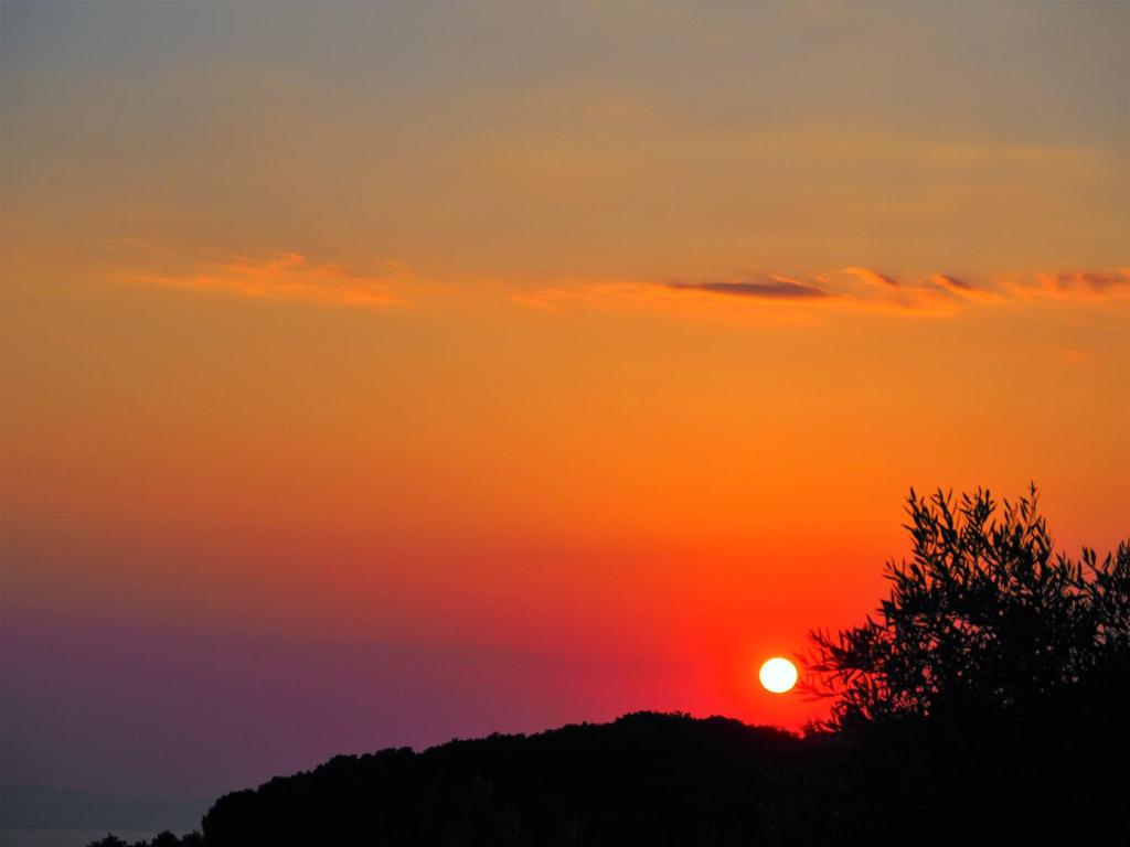 a sunset over a hill with a tree in the foreground at TSOUMAS HOUSE 1 in Preveza