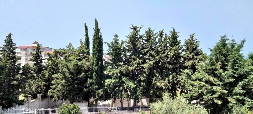 Vila Tahiri - Image 1