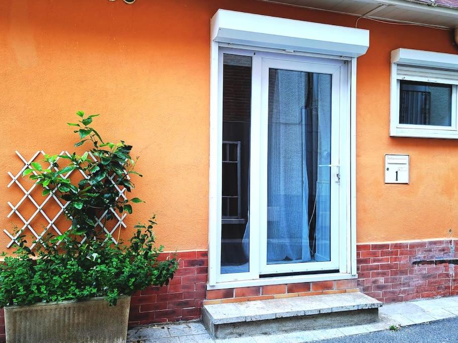 a door of a house with a plant next to it at Studio proche de Perpignan in Peyrestortes