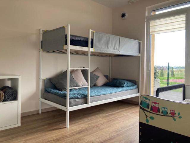 1 Schlafzimmer mit 2 Etagenbetten in einem Zimmer in der Unterkunft Green terrace in Klaipėda