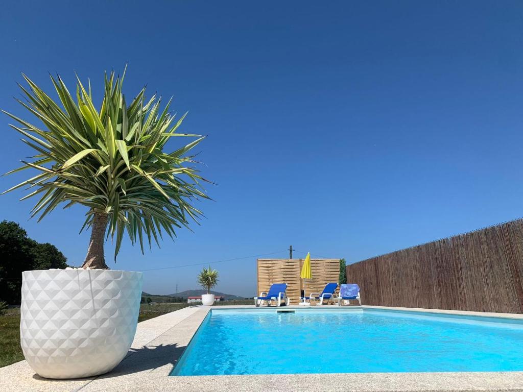 a palm tree sitting next to a swimming pool at Casa Carvalhal do Esporão 