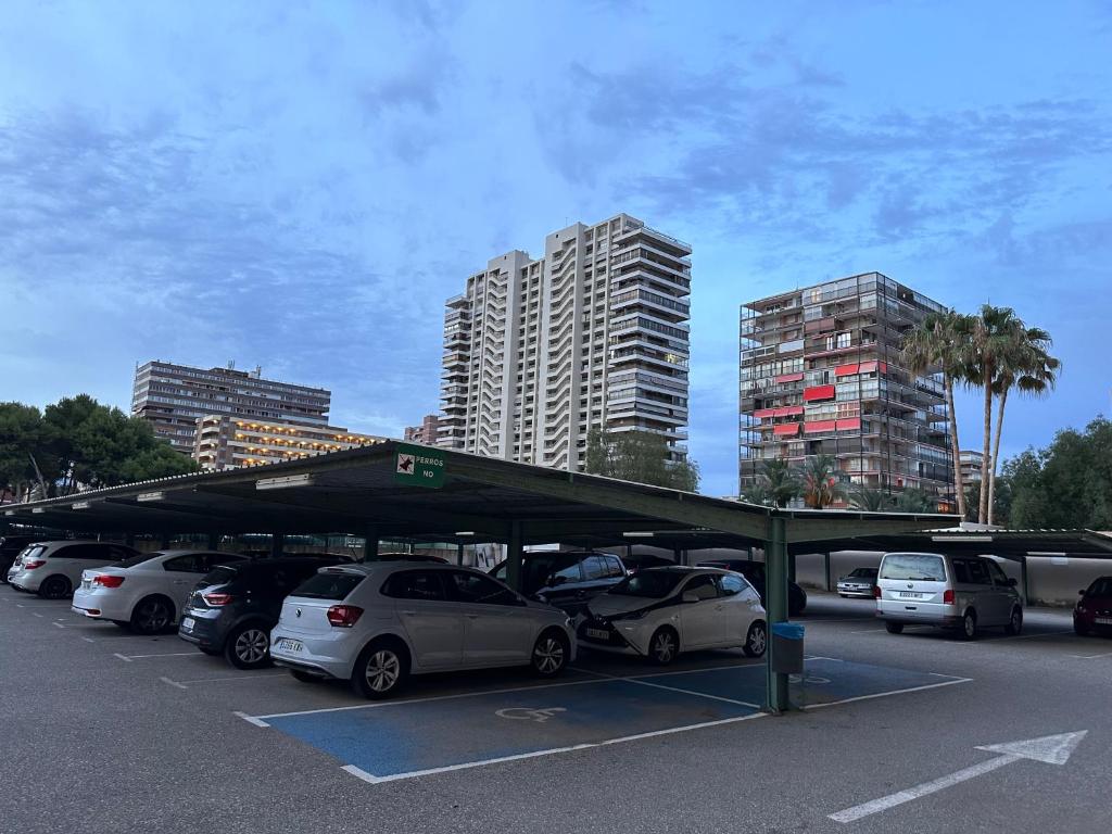 CONCORDE JULIA, Alicante – Updated 2023 Prices