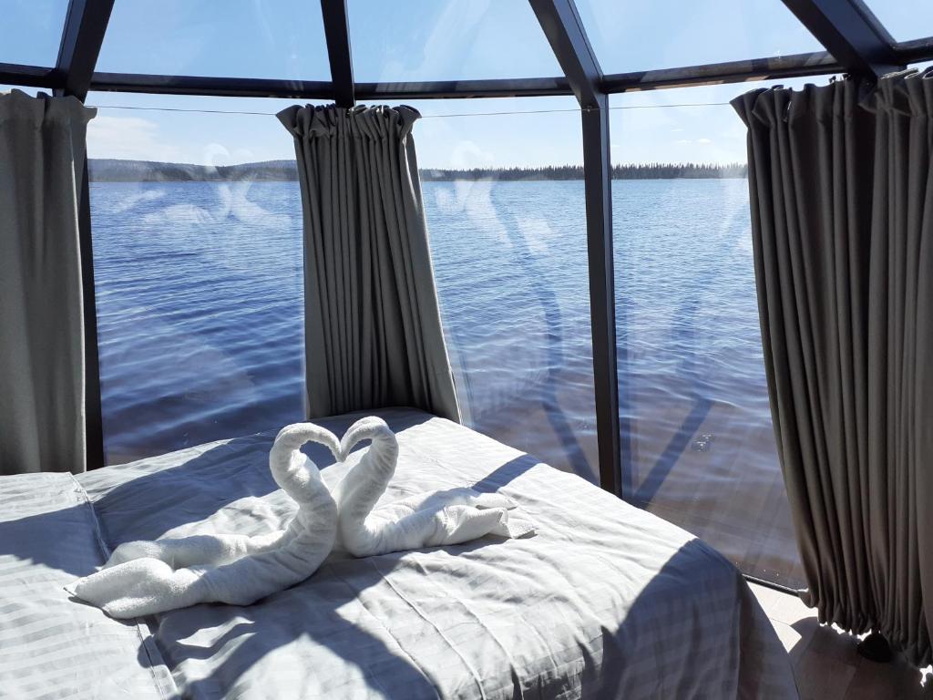 Příroda nedaleko luxury tent