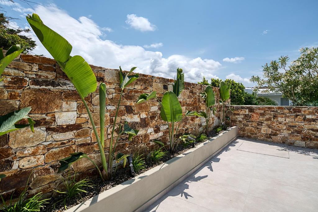 Clementina Paros - 10