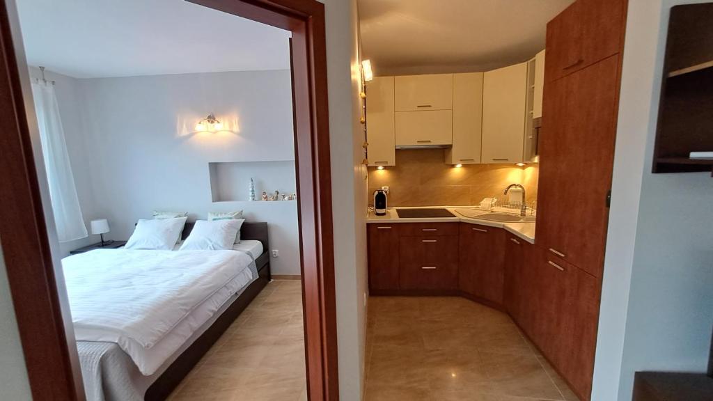 Kuchyň nebo kuchyňský kout v ubytování Komfortowy Apartament w Blue Mare