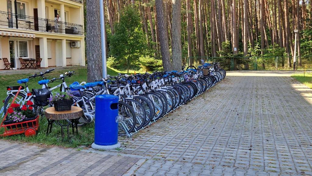 Jízda na kole v ubytování Komfortowy Apartament w Blue Mare nebo okolí