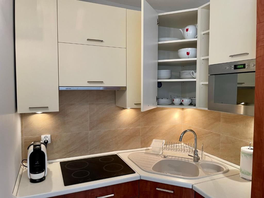 Kuchyň nebo kuchyňský kout v ubytování Komfortowy Apartament w Blue Mare