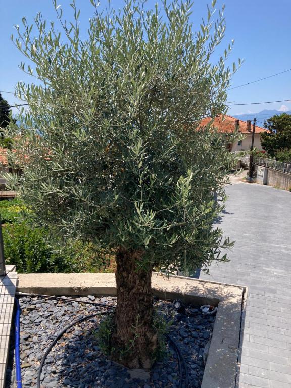 Villa V with pool and free parking - 18