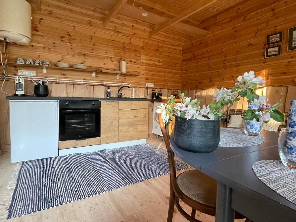 Kuchyň nebo kuchyňský kout v ubytování JUST Lodges
