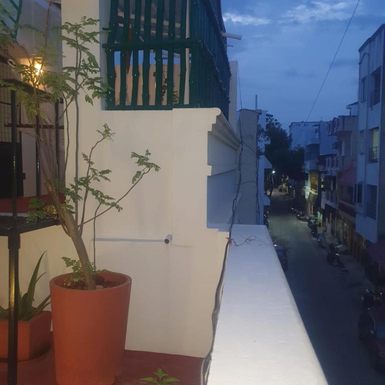 Okolí bed and breakfast