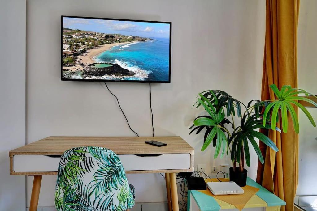 TV a/nebo společenská místnost v ubytování Studio La Tortue