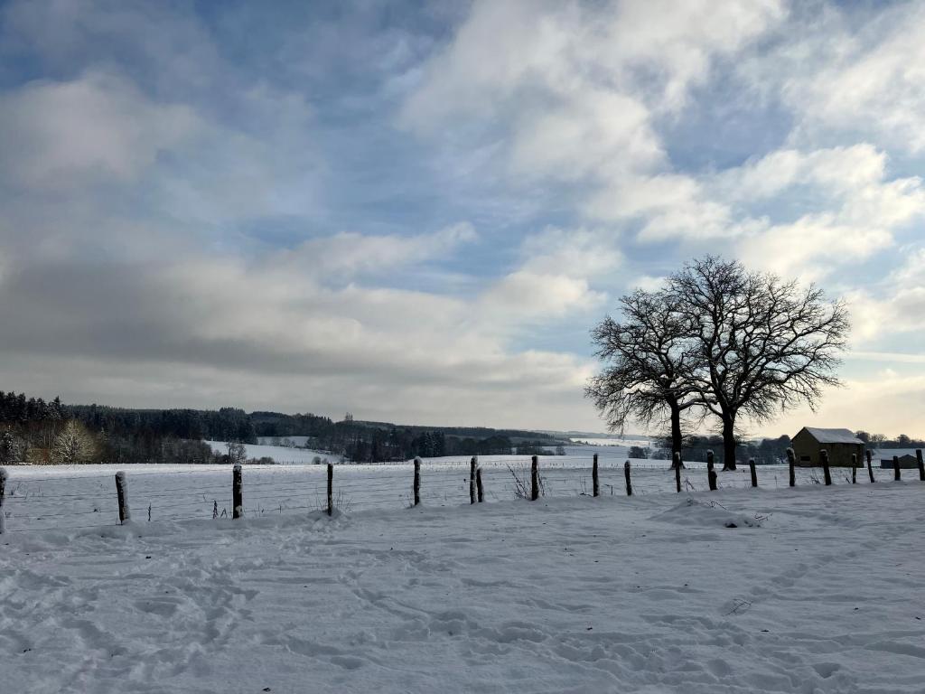 a fence in a snow covered field with a tree at Le Buisson B&amp;B in Gouvy