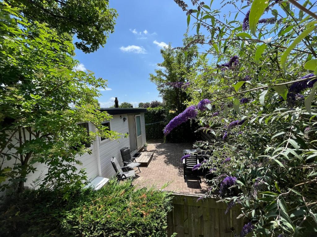 a garden with purple flowers and a fence at Zomerhuis Duinzicht in Egmond aan den Hoef