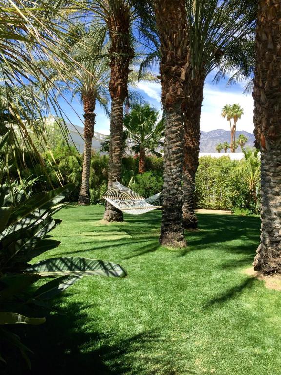 Zahrada ubytování Parker Palm Springs