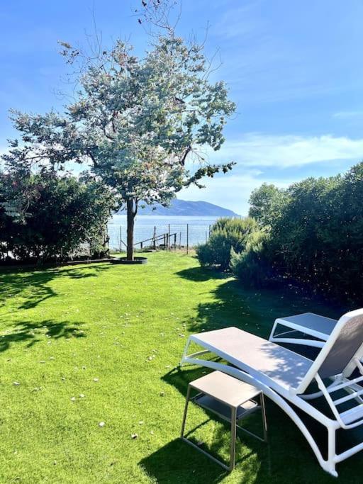 2 chaises longues, une table et un arbre dans l'établissement Accès mer, appartement 2-4 pers sur plage, à Casaglione