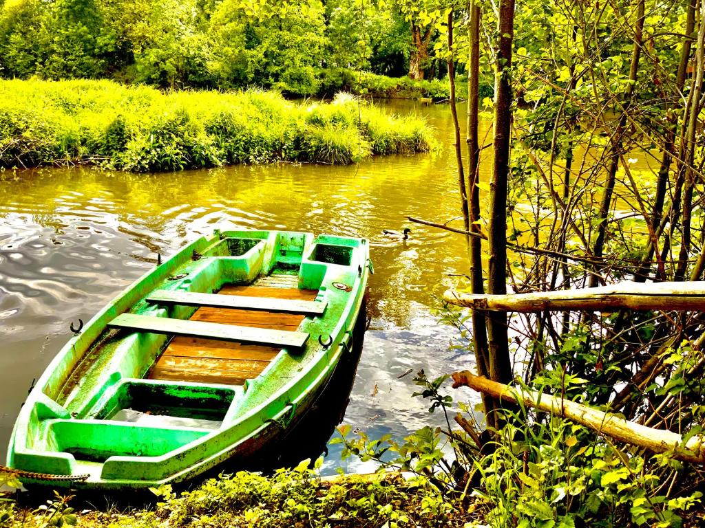 a green boat sitting in the middle of a river at Magnifique loft atypique proche gare et bord de rivière in Le Mans