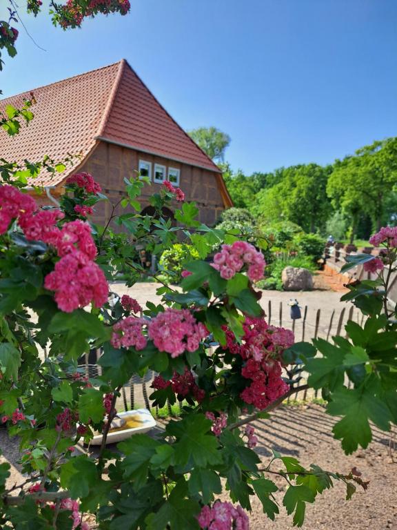 um arbusto de flores cor-de-rosa em frente a um edifício em Mutti ´s Landhof 