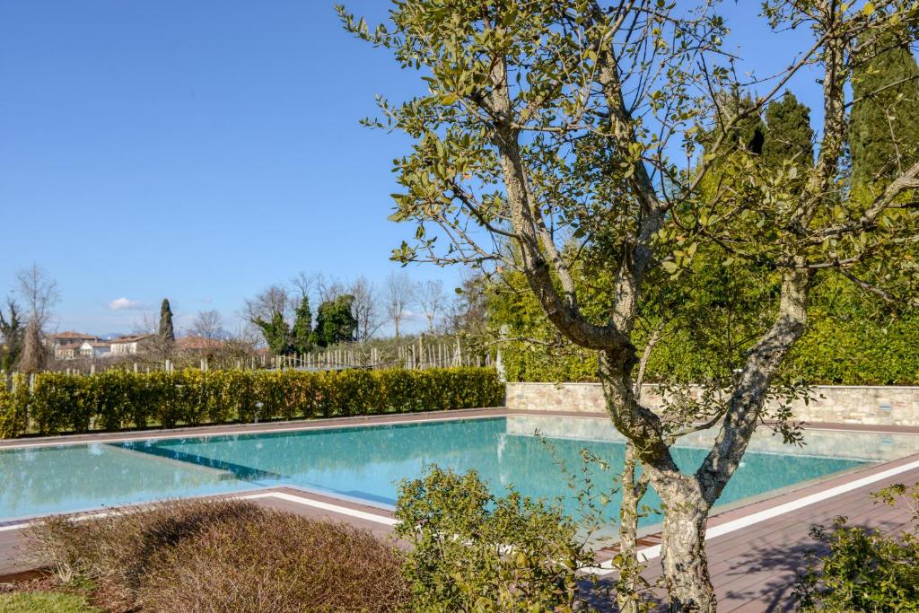 a swimming pool with a tree in a yard at The Ziba Hotel & Spa in Peschiera del Garda