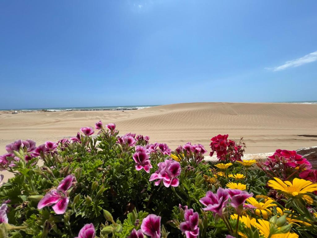 a field of flowers in front of a beach at Casa Teresa in Donnalucata