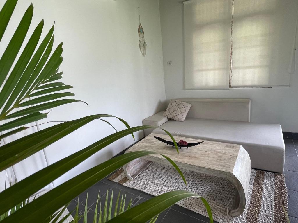 Et opholdsområde på HOLA villa 4