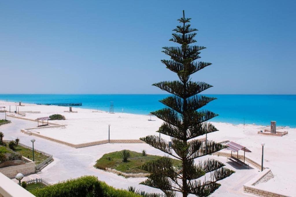 Un árbol de Navidad en una playa junto al océano en قرية جرين بيتش, en El Alamein