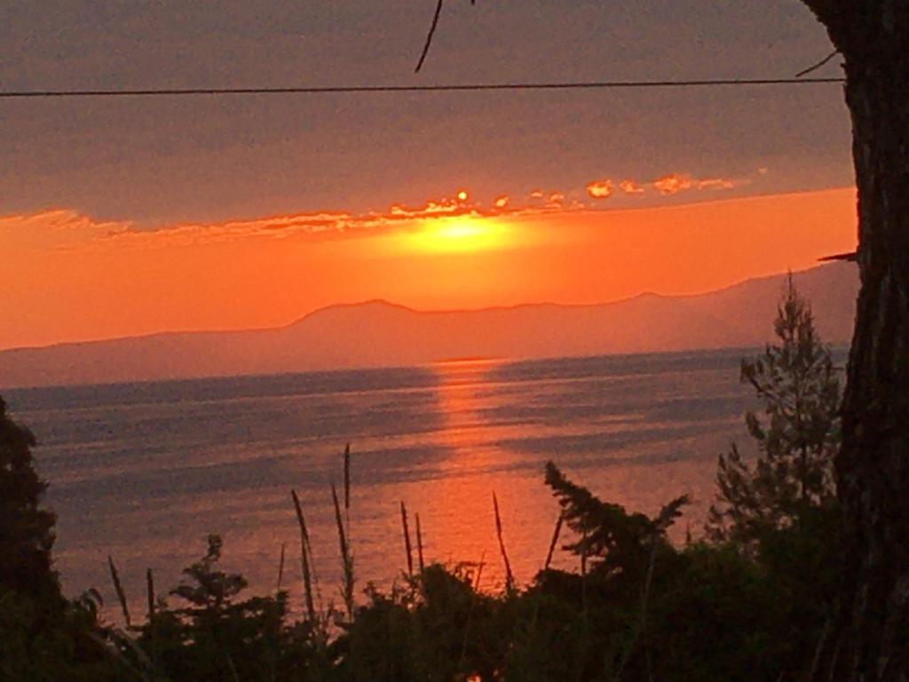 Gallery image of PETRA MARE VILLA in Kriopigi