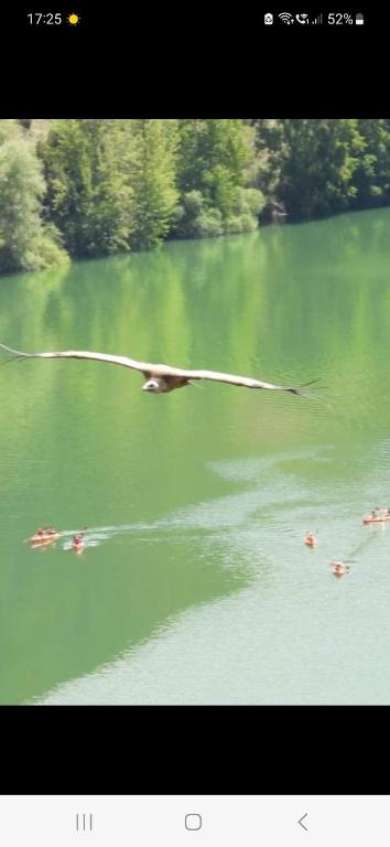 Výhled na řeku, která protéká v blízkosti prázdninového domu