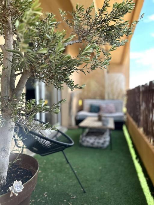 - un salon avec un pot et un canapé dans l'établissement Appartement Cosy Calao - Parking fermé gratuit, à Perpignan