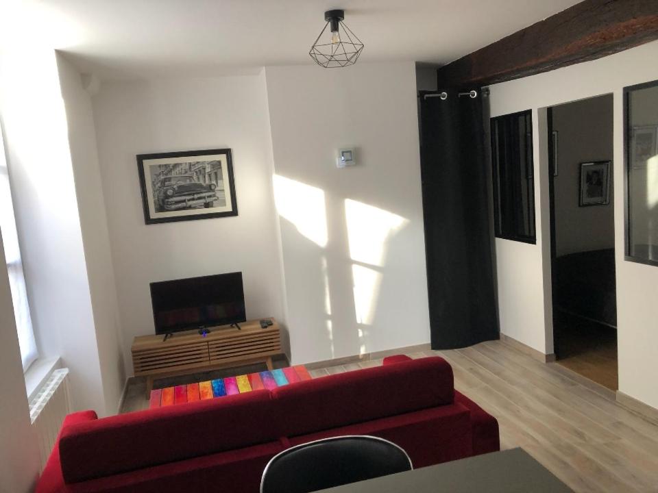 ein Wohnzimmer mit einem roten Sofa und einem TV in der Unterkunft Appartement atelier dans vieux blois in Blois