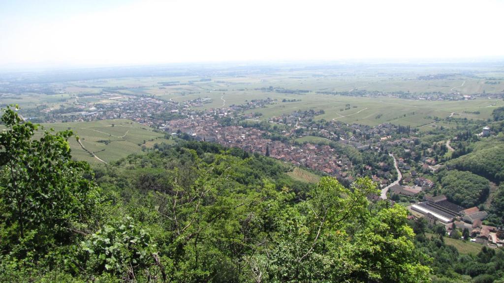 Le Tokay – photo 20