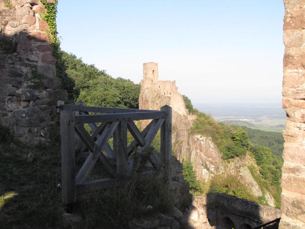 Le Tokay – photo 21